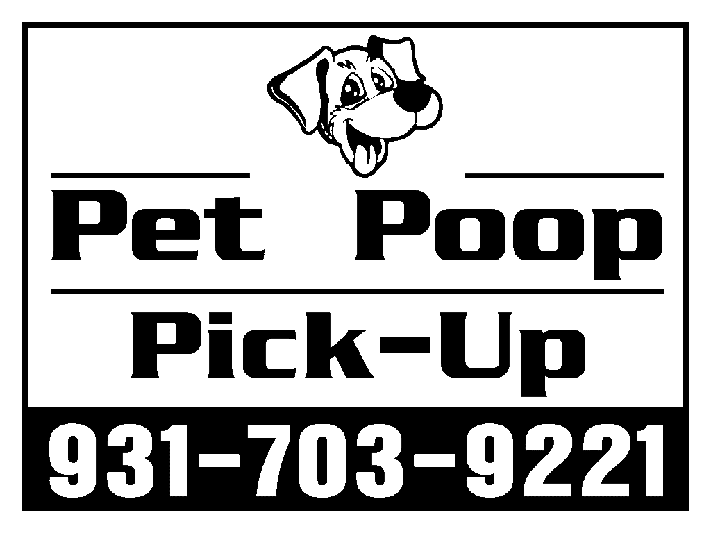 ppp logo footer